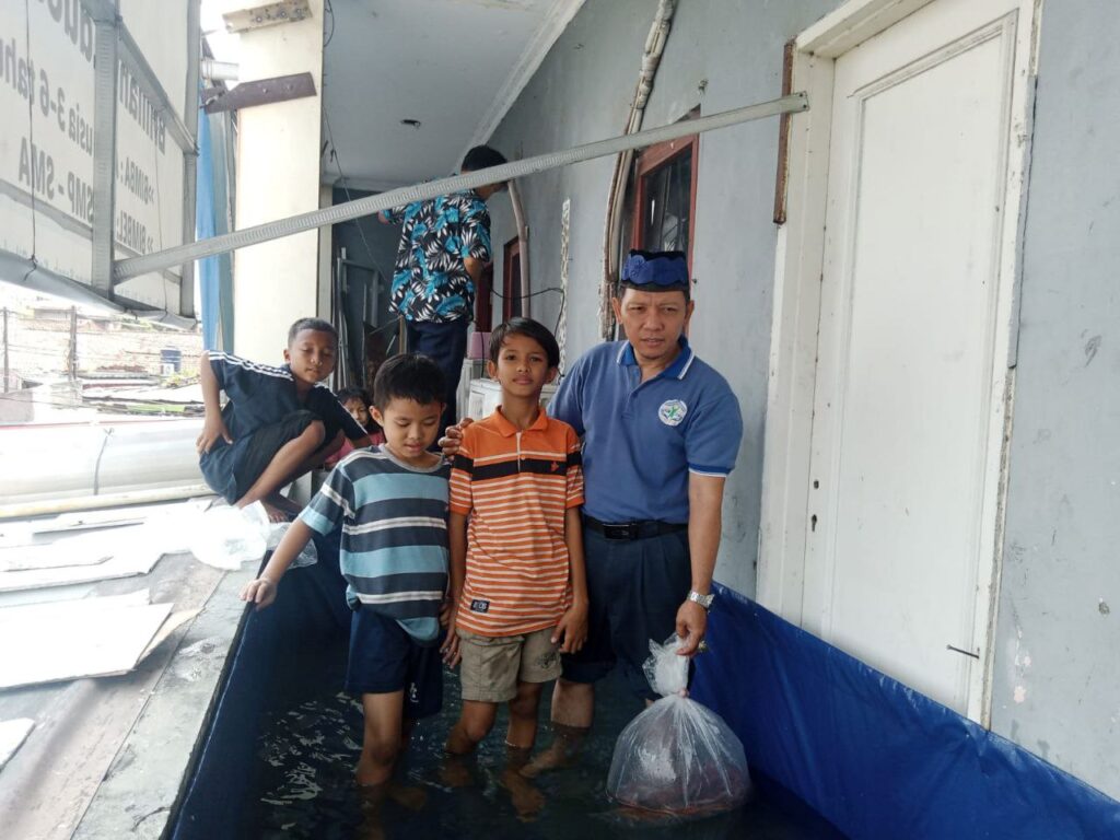 budidaya ikan nila