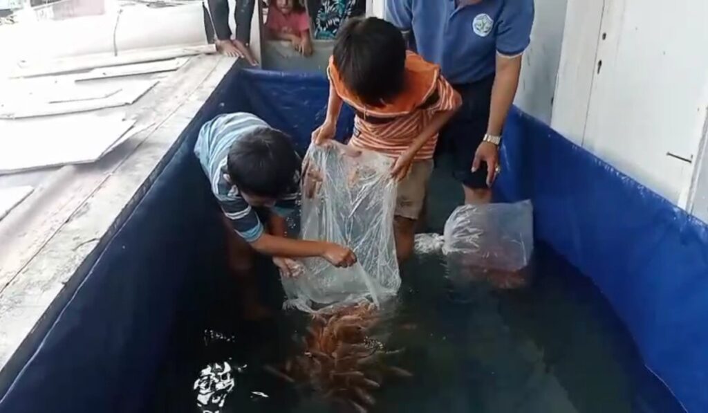 budidaya ikan nila