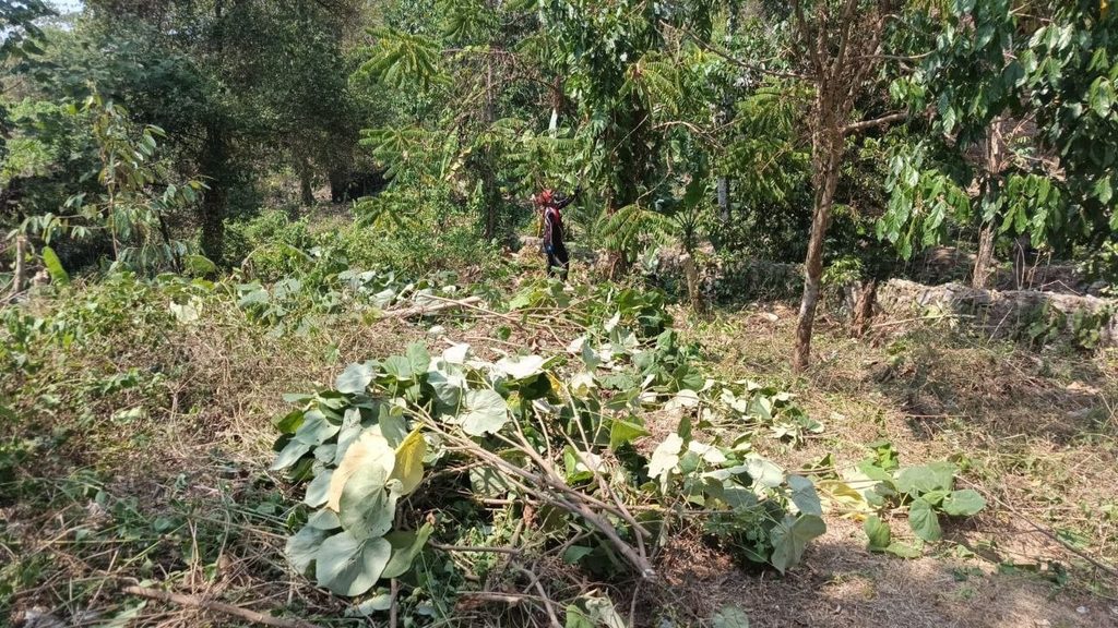 Tim GYS bersama relawan saat observasi lahan wakaf di Sukamaju, Cikakak, Sukabumi